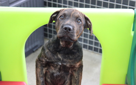 Hampshire tile image