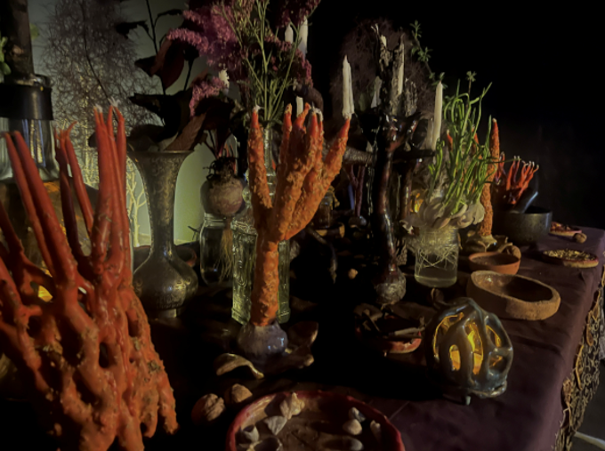 Screenshot 2026-03-05 145702_4jlxjvld.png