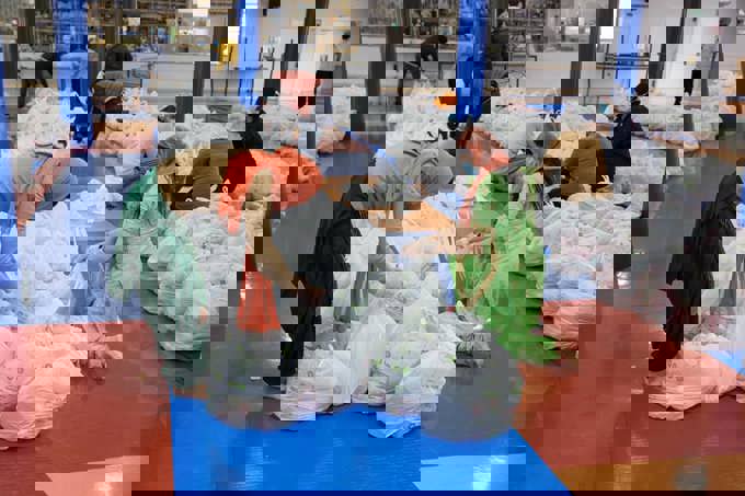 Temple rallies to help Papakura during lockdown