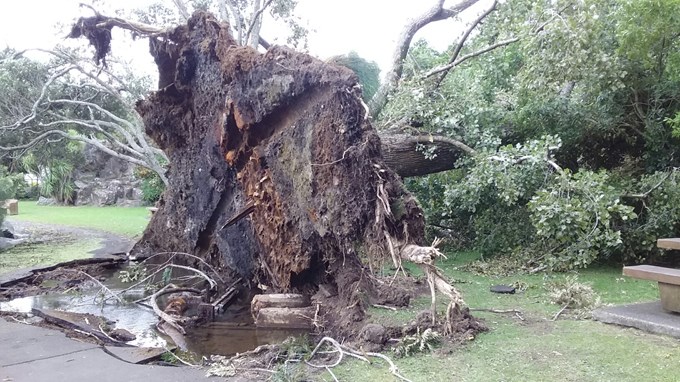 Storm uncovers history