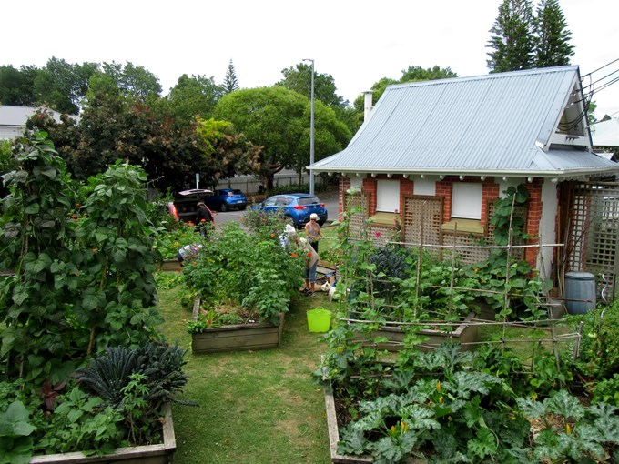 Community Garden Project Eden Terrace