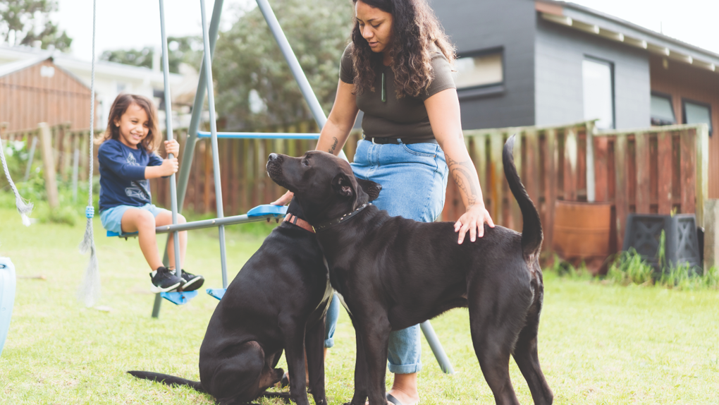 Dog bite prevention