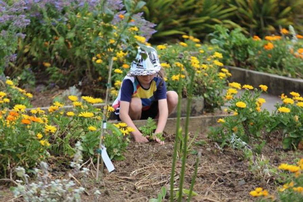 Eco Neighborhood featured
