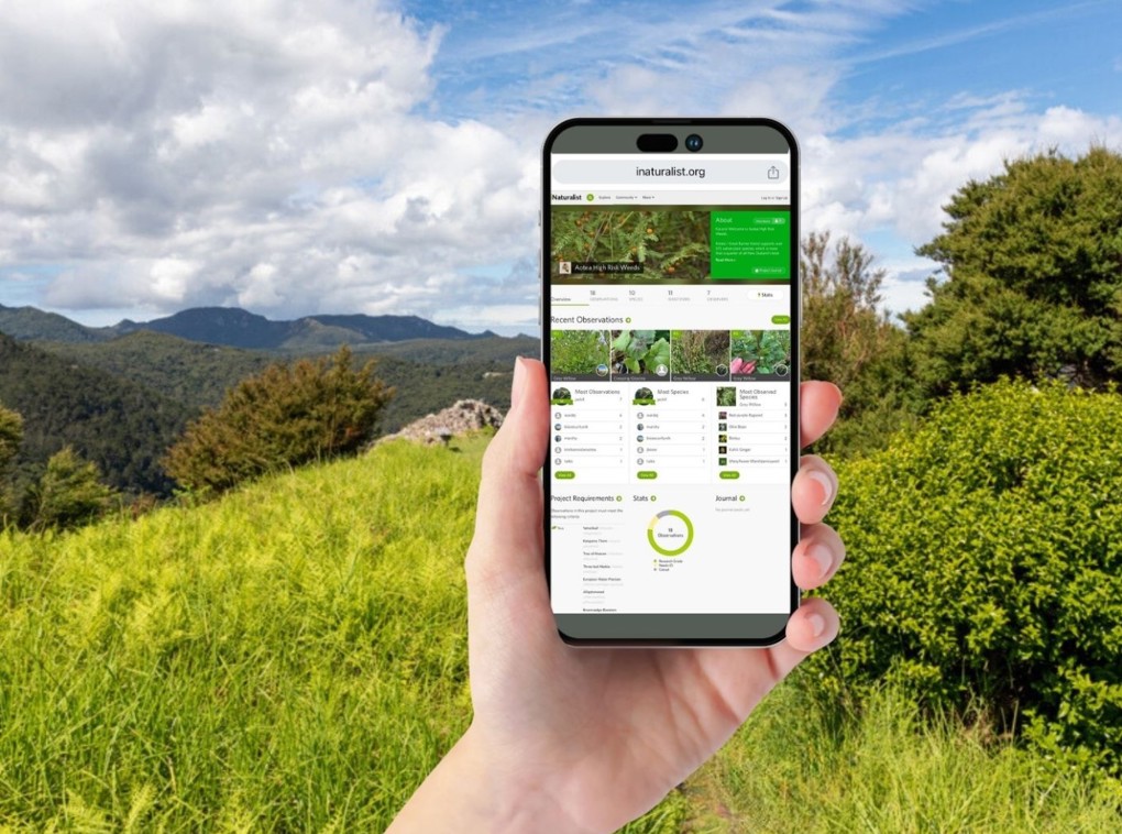 Aotea Pest Weed Project OA