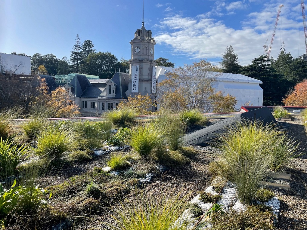 Living Roof 5